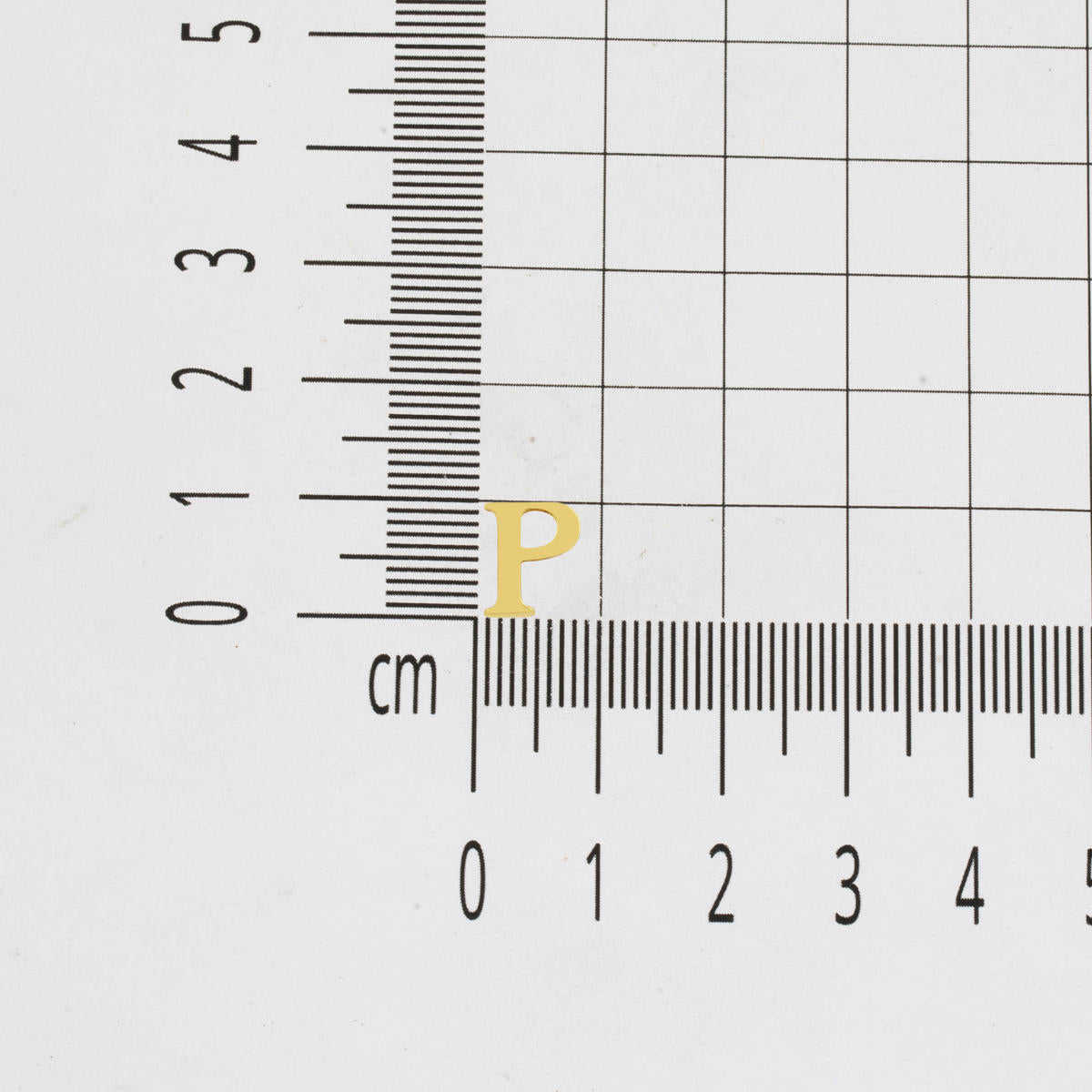 P Harfi Minimal 14 Ayar Altın Küpe - Görsel 5