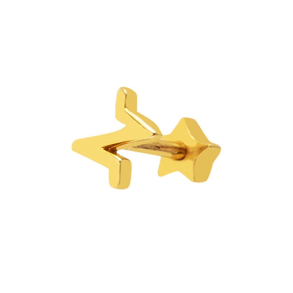 14 Karat Gold Heart Ritmi Tragus Earring