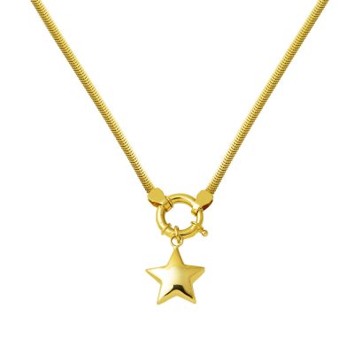 Star 14 Karat Gold Gerdanlık Necklace